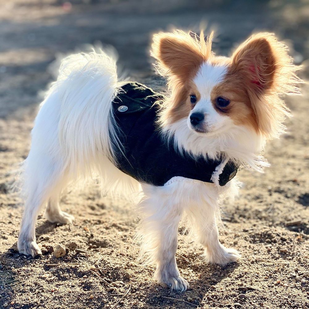 Meet your Posher, Margaret